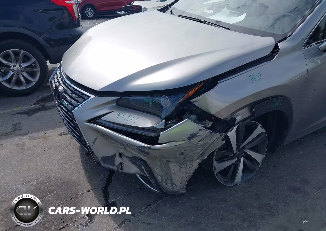2020 Lexus Nx 300 VIN:JTJGARBZ1L2166772 - 6