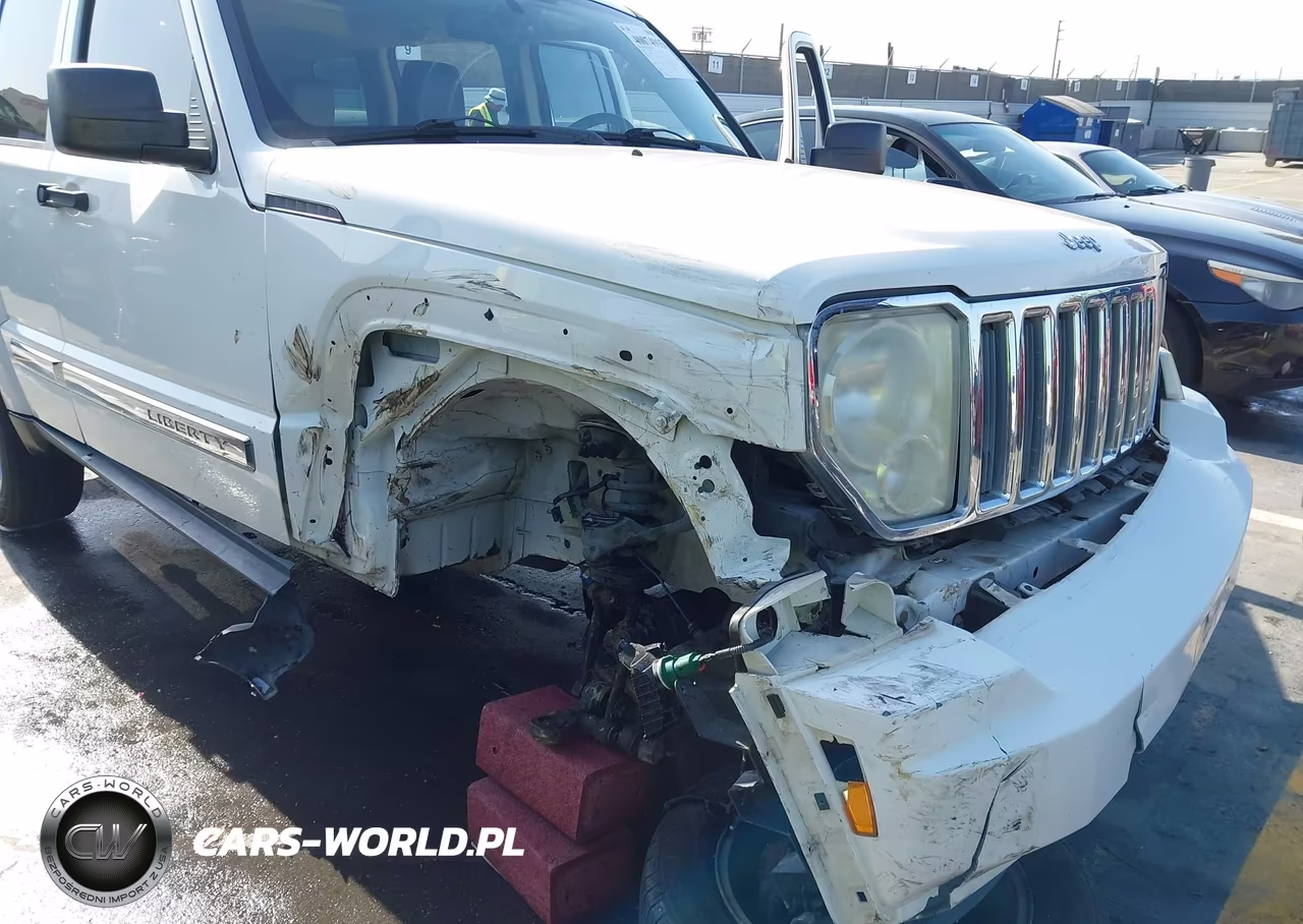 2008 Jeep Liberty Limited Edition VIN:1J8GN58K38W242124 - 6