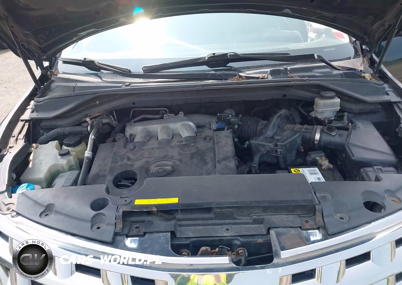 2005 Nissan Murano Sl VIN:JN8AZ08W25W429510 - 10