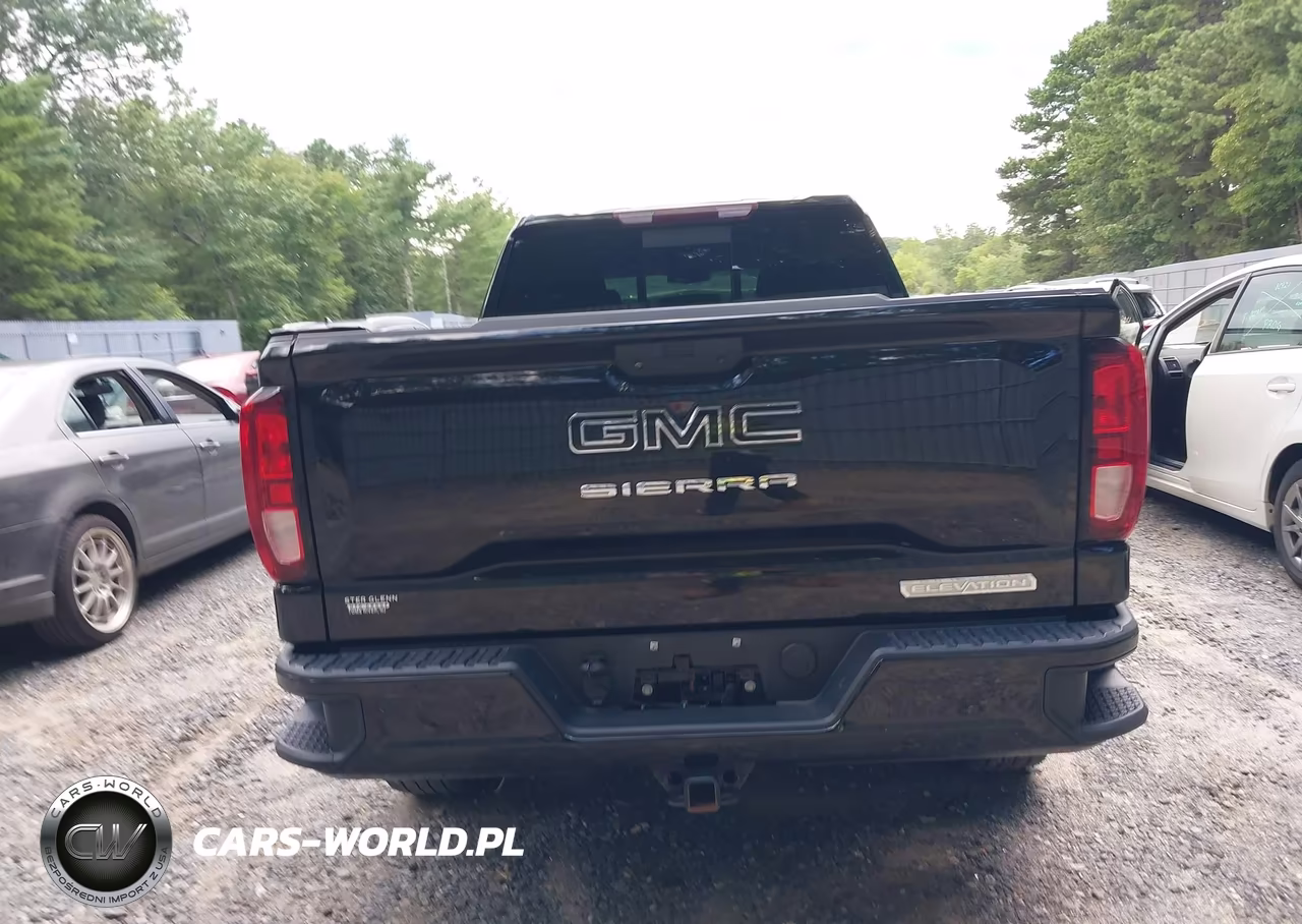 2021 GMC Sierra 1500 4Wd Double Cab Standard Box Elevation VIN:1GTR9CEK8MZ173789 - 16