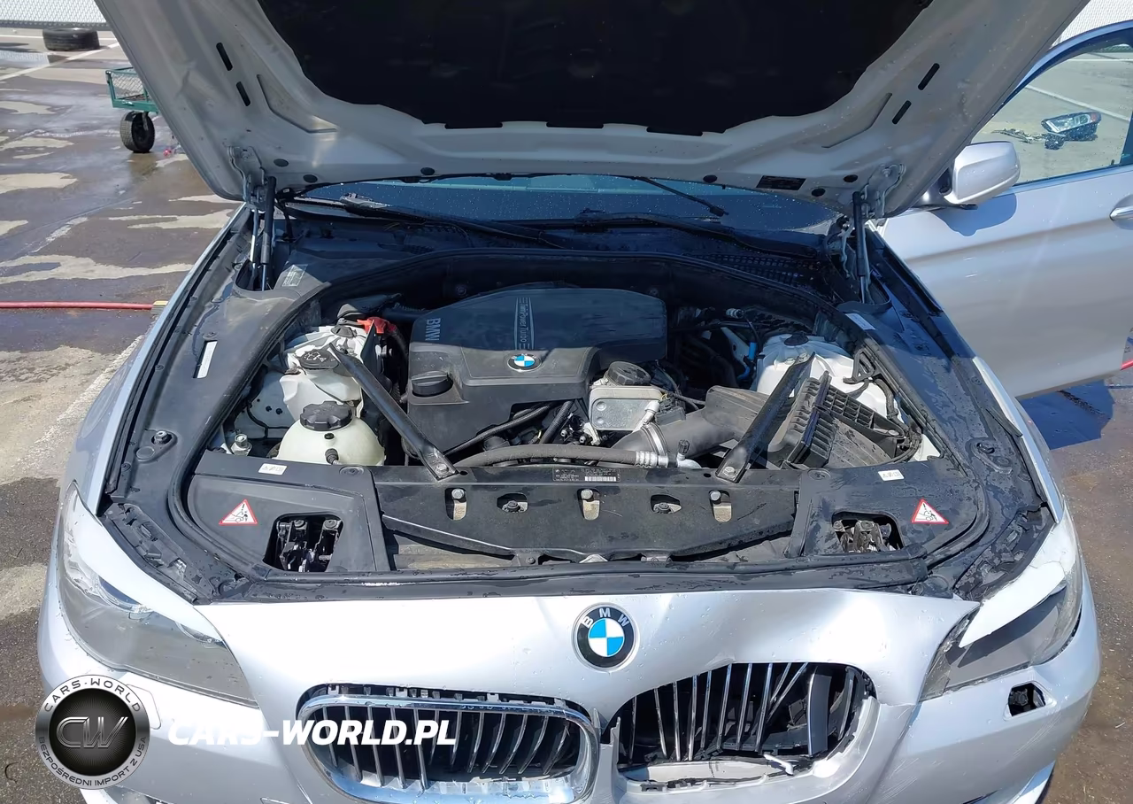 2012 BMW 528I xDrive VIN:WBAXH5C55CDW07338 - 10