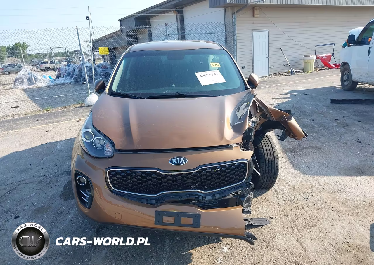 2019 Kia Sportage Lx VIN:KNDPMCACXK7616697 - 6