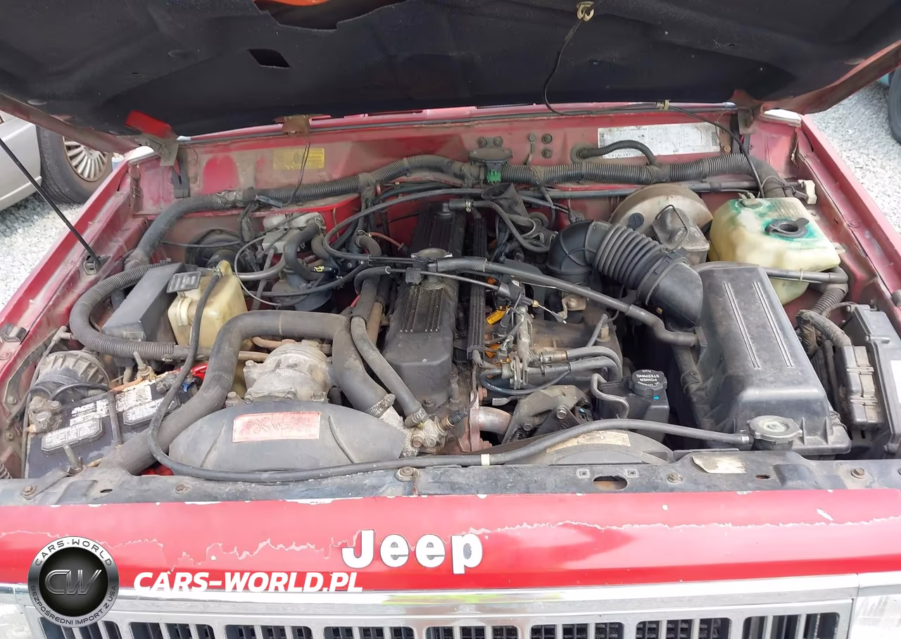 1991 Jeep Cherokee Laredo VIN:1J4FJ58S4ML564310 - 10