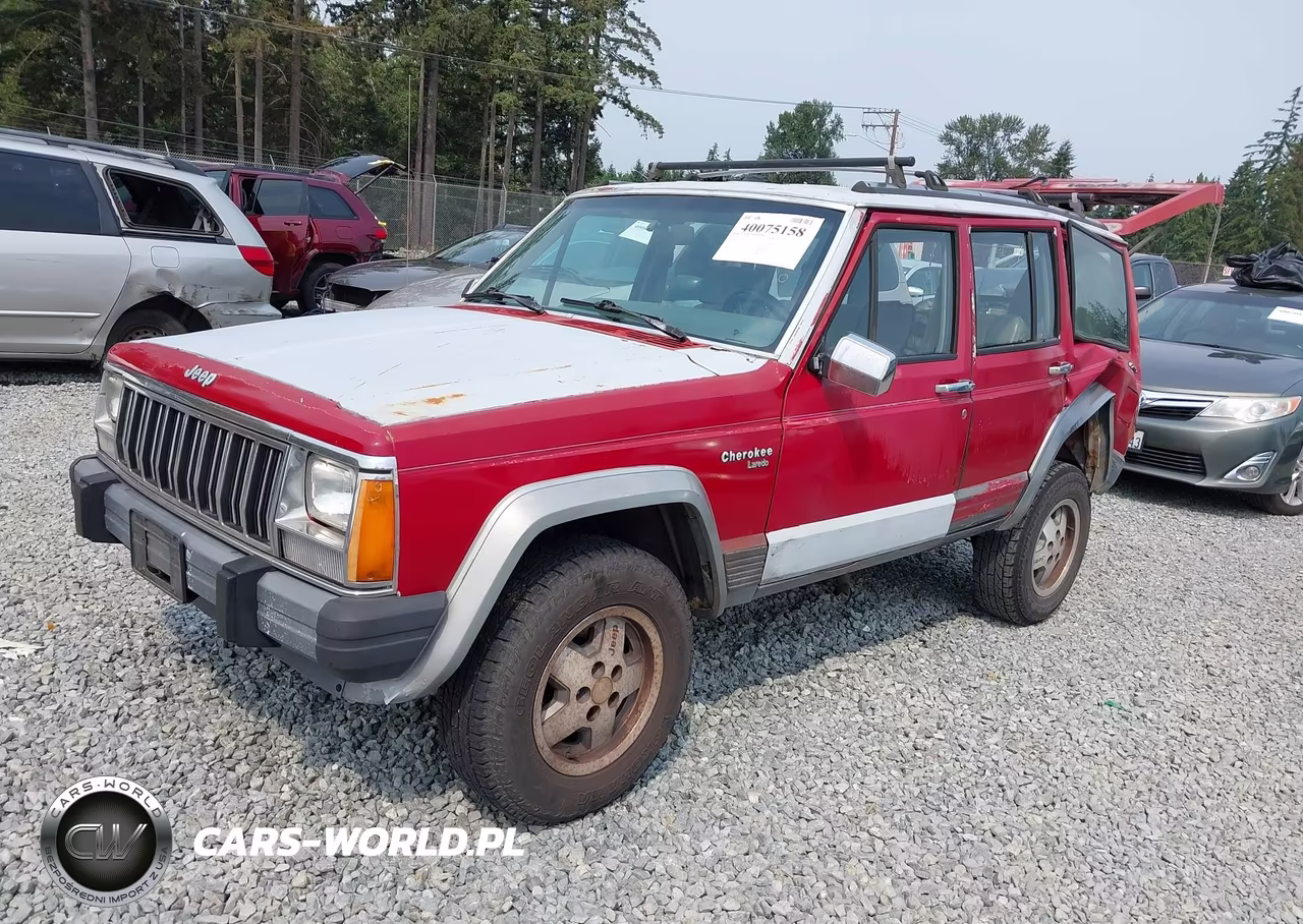 1991 Jeep Cherokee Laredo VIN:1J4FJ58S4ML564310 - 2
