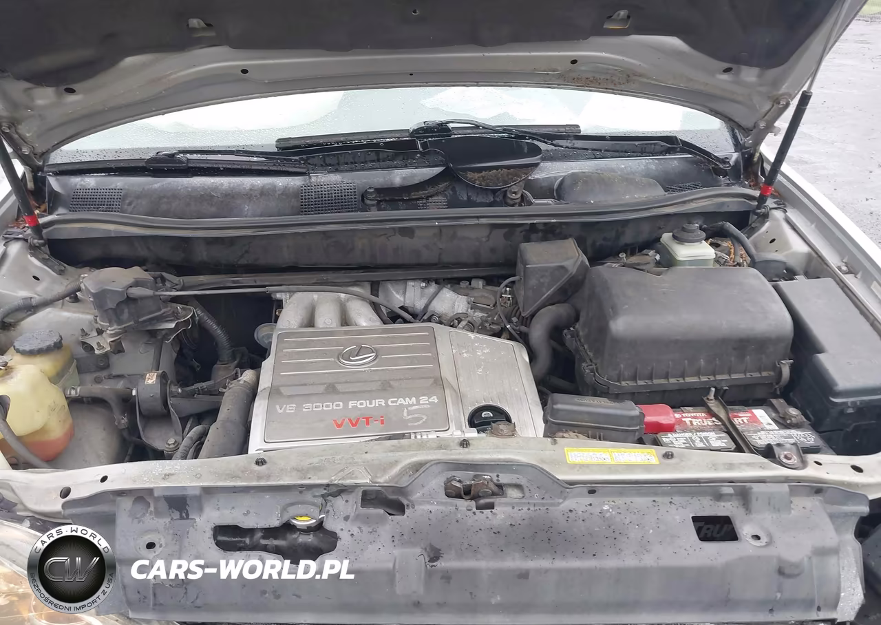 1999 Lexus Rx 300 VIN:JT6HF10U0X0008658 - 10