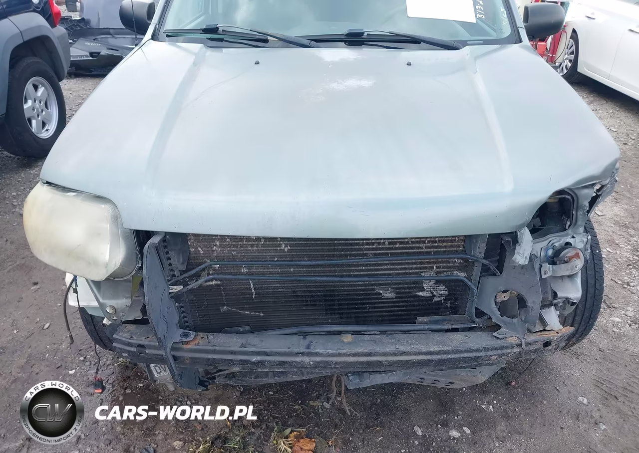 2005 Ford Escape Xlt VIN:1FMYU03165KA88359 - 6