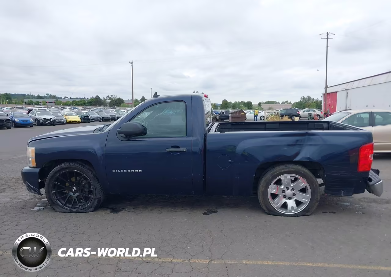 2011 Chevrolet Silverado 1500 Work Truck VIN:1GCNCPEX7BZ245873 - 15