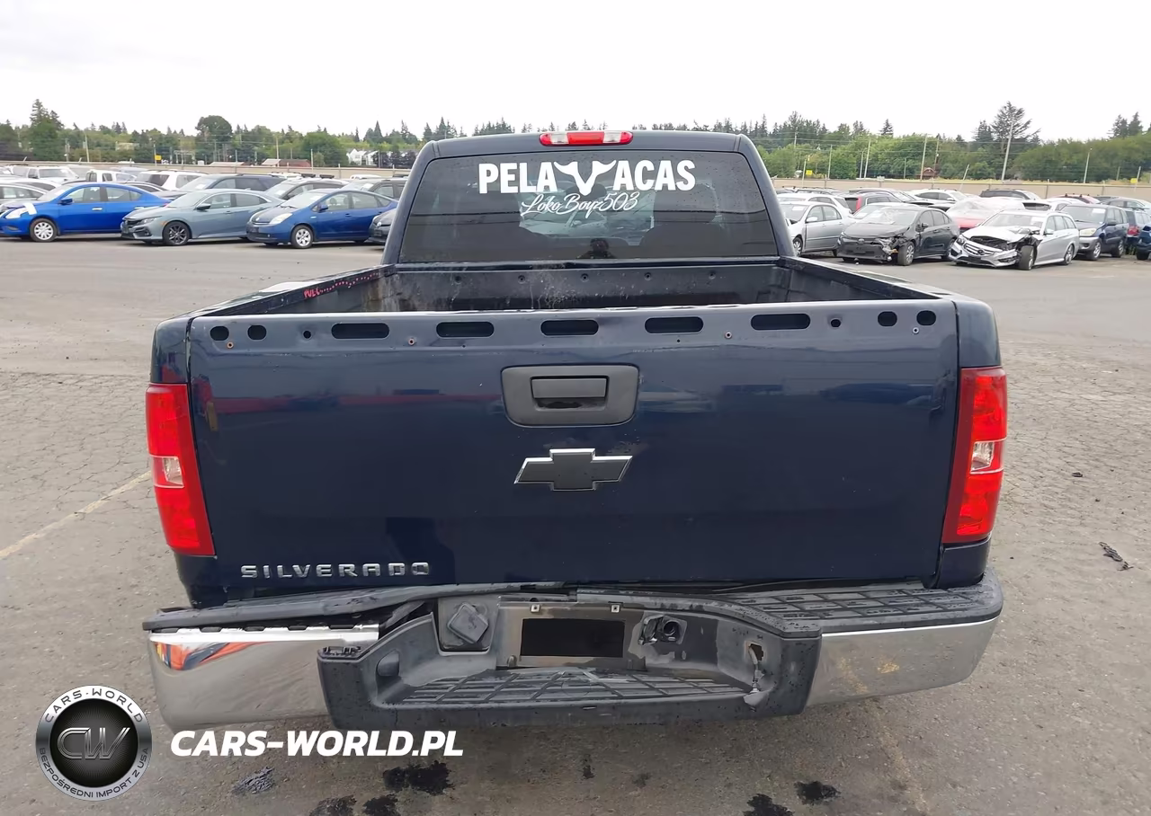 2011 Chevrolet Silverado 1500 Work Truck VIN:1GCNCPEX7BZ245873 - 17