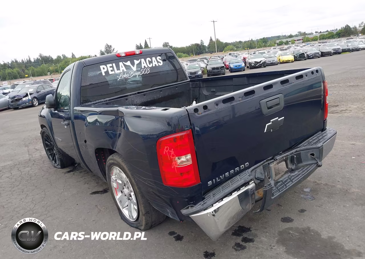 2011 Chevrolet Silverado 1500 Work Truck VIN:1GCNCPEX7BZ245873 - 3