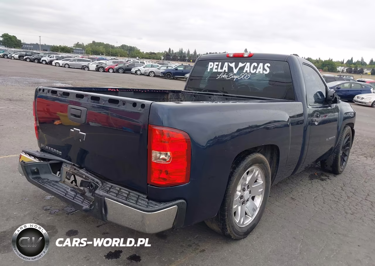 2011 Chevrolet Silverado 1500 Work Truck VIN:1GCNCPEX7BZ245873 - 4