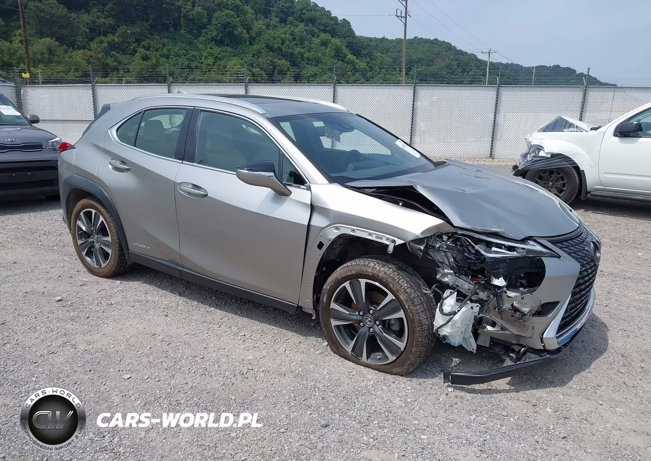 2019 Lexus Ux 250H