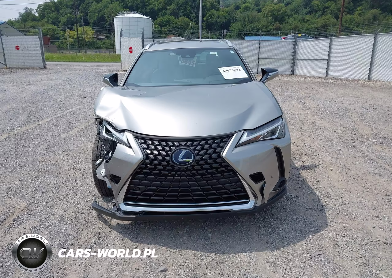 2019 Lexus Ux 250H VIN:JTHU9JBH1K2017119 - 13