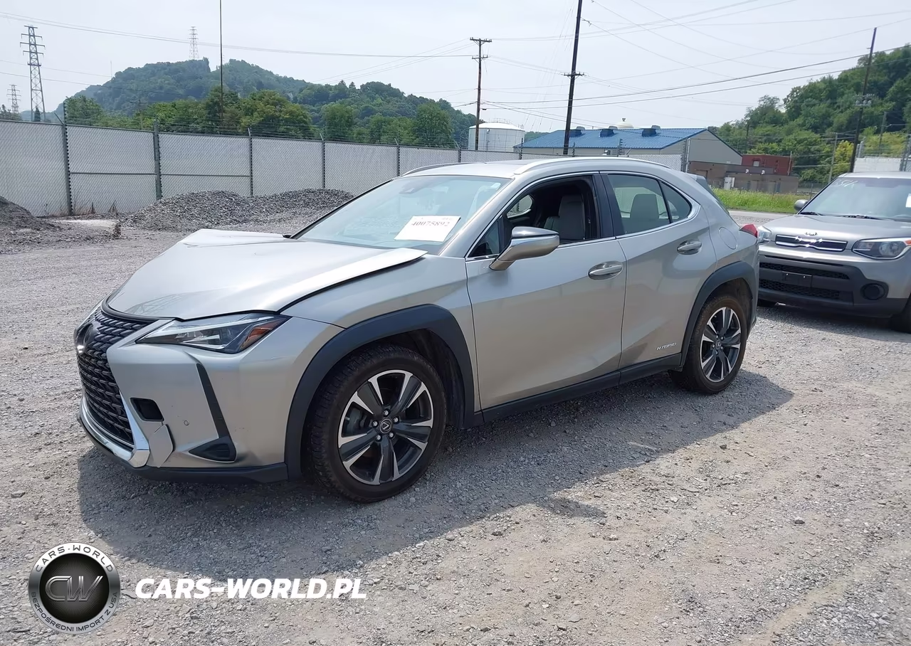 2019 Lexus Ux 250H VIN:JTHU9JBH1K2017119 - 2