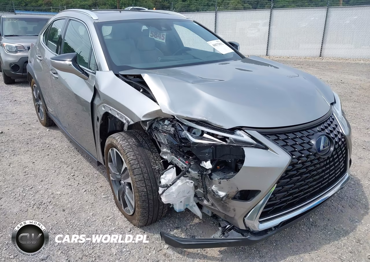 2019 Lexus Ux 250H VIN:JTHU9JBH1K2017119 - 6