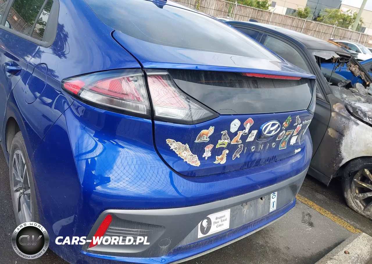 2011 Ford Fiesta Se VIN:3FADP4BJ1BM223955 - 17