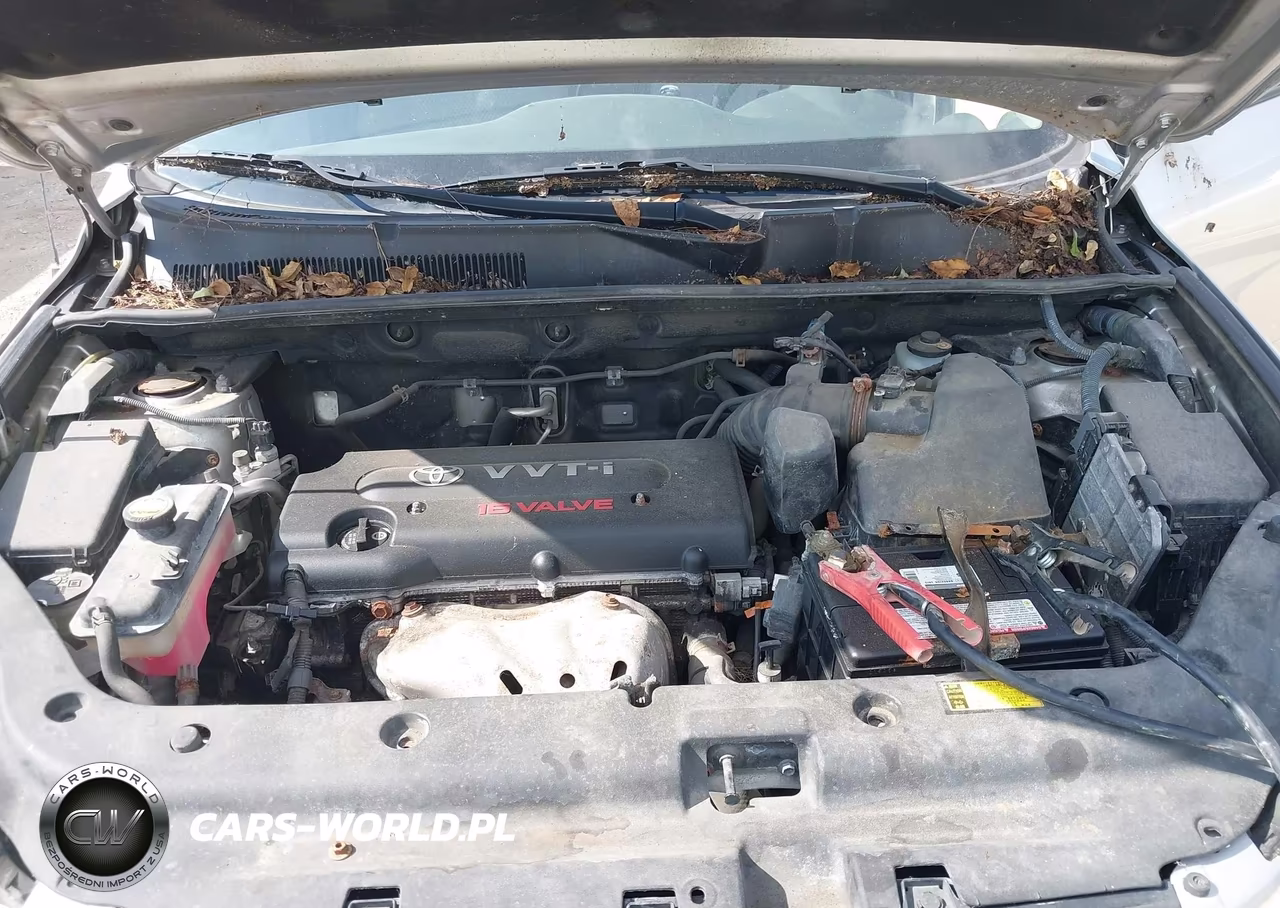 2006 Toyota Rav4 VIN:JTMBD33V465024593 - 10