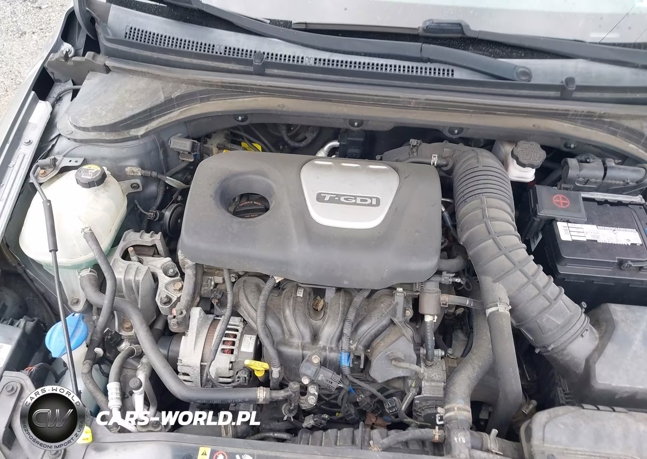 2017 Hyundai Elantra Sport VIN:KMHD04LB9HU292026 - 10