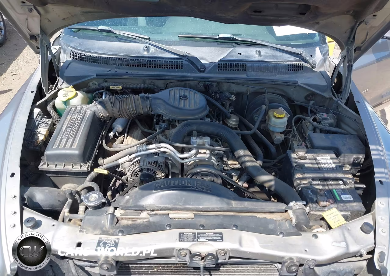 1999 Dodge Durango VIN:1B4HS28Z3XF708694 - 10