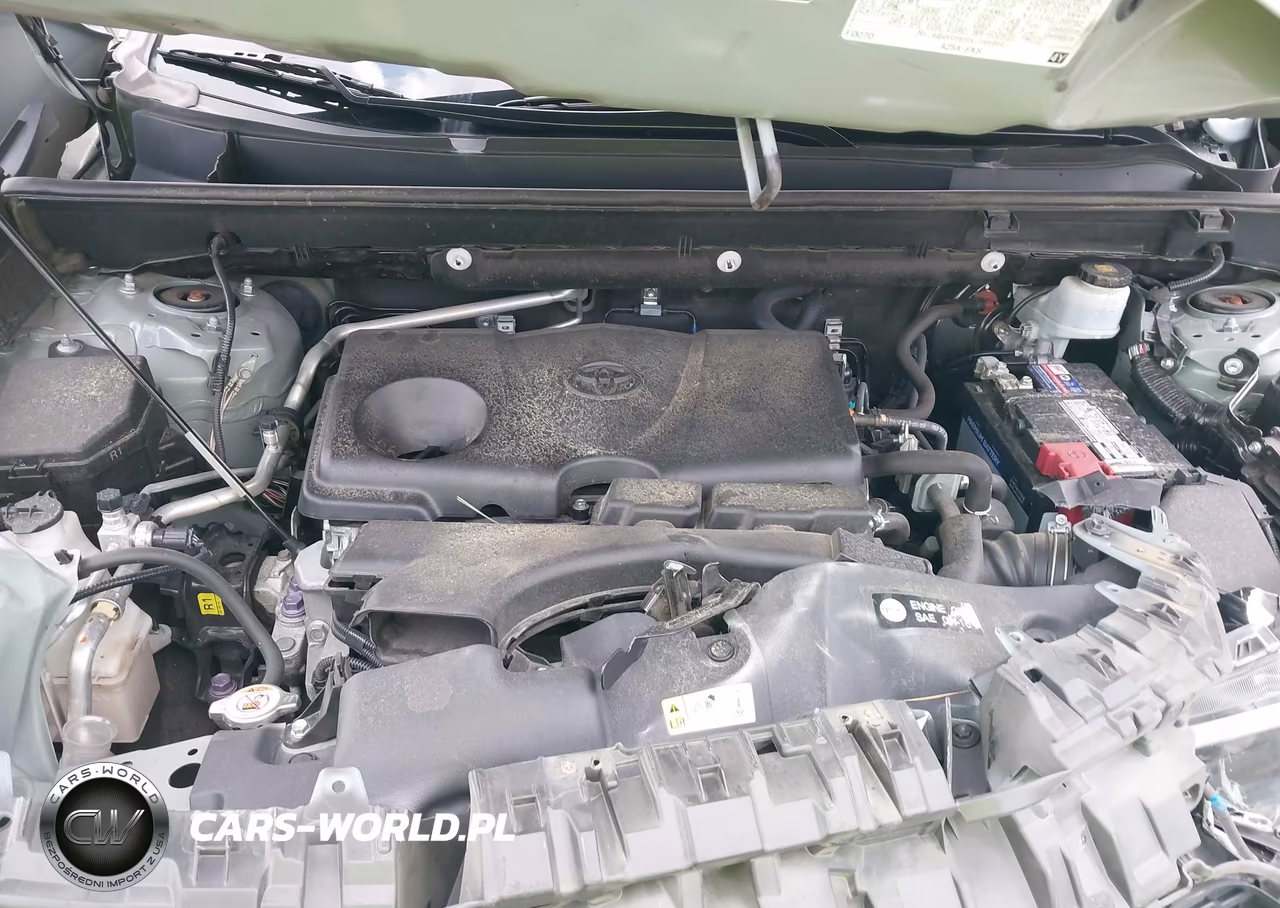2019 Toyota Rav4 Xle Premium VIN:2T3C1RFV5KW048982 - 10