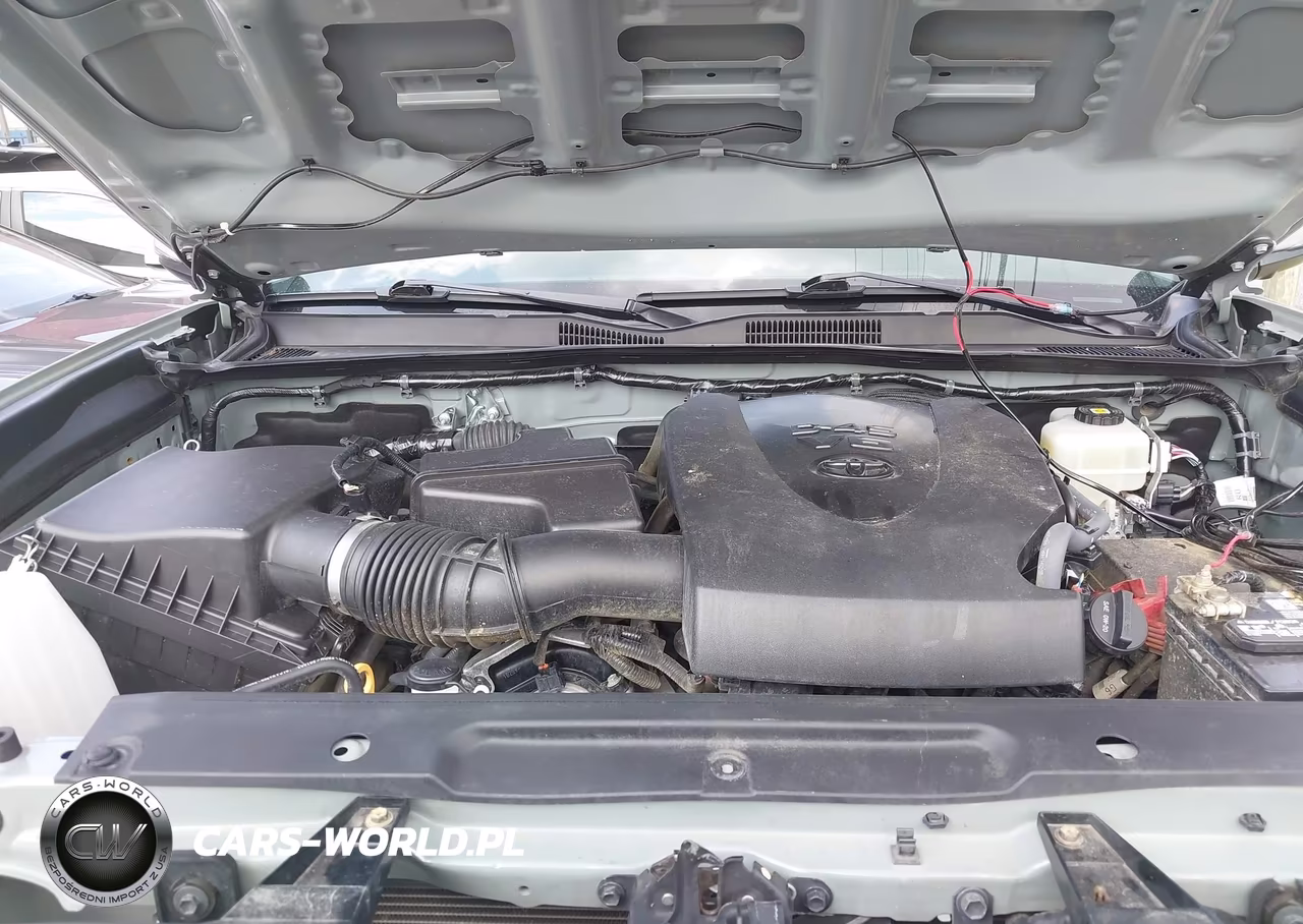 2021 Toyota Tacoma Trd Pro VIN:5TFCZ5AN1MX265016 - 10