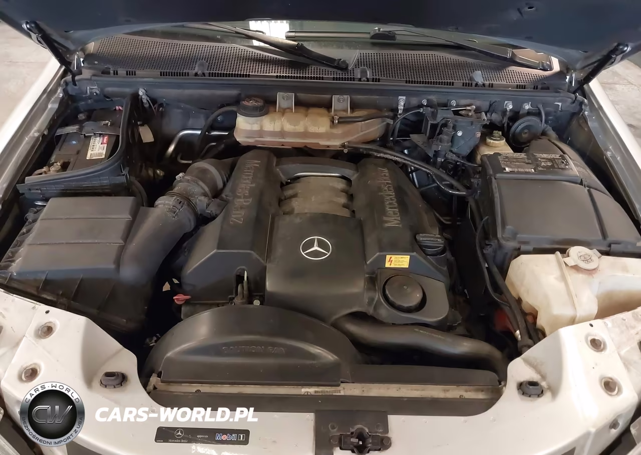 2003 Mercedes-Benz Ml 350 VIN:4JGAB57E03A440419 - 10