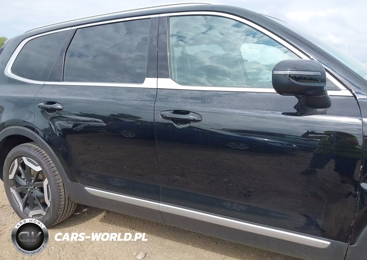 2024 Kia Telluride Ex VIN:5XYP3DGC8RG503683 - 14