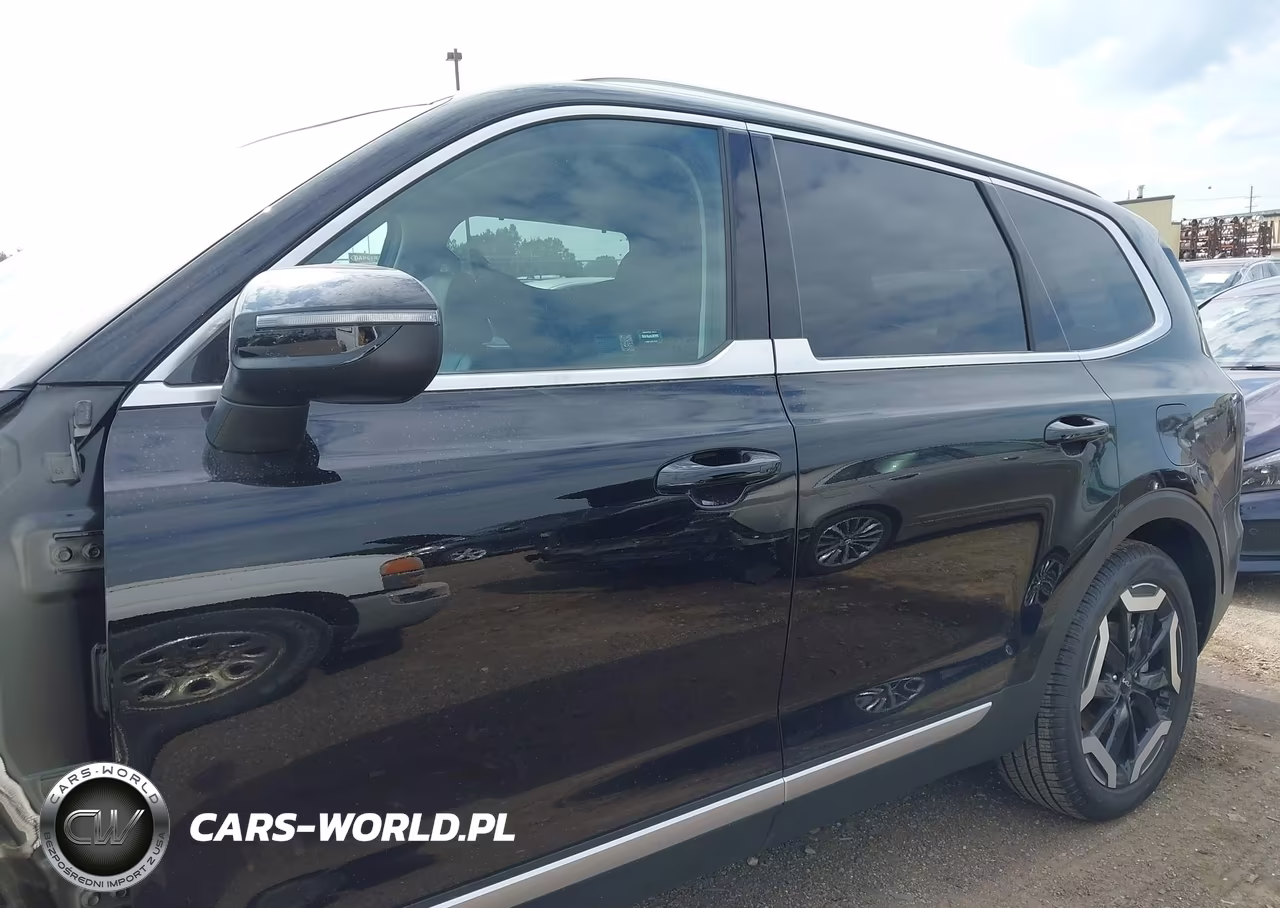 2024 Kia Telluride Ex VIN:5XYP3DGC8RG503683 - 15
