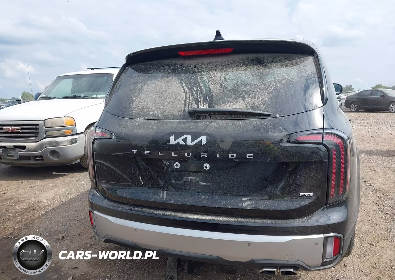 2024 Kia Telluride Ex VIN:5XYP3DGC8RG503683 - 17