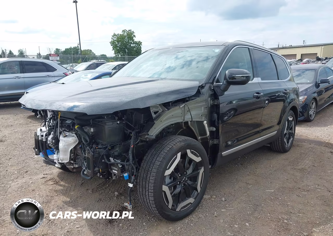 2024 Kia Telluride Ex VIN:5XYP3DGC8RG503683 - 2
