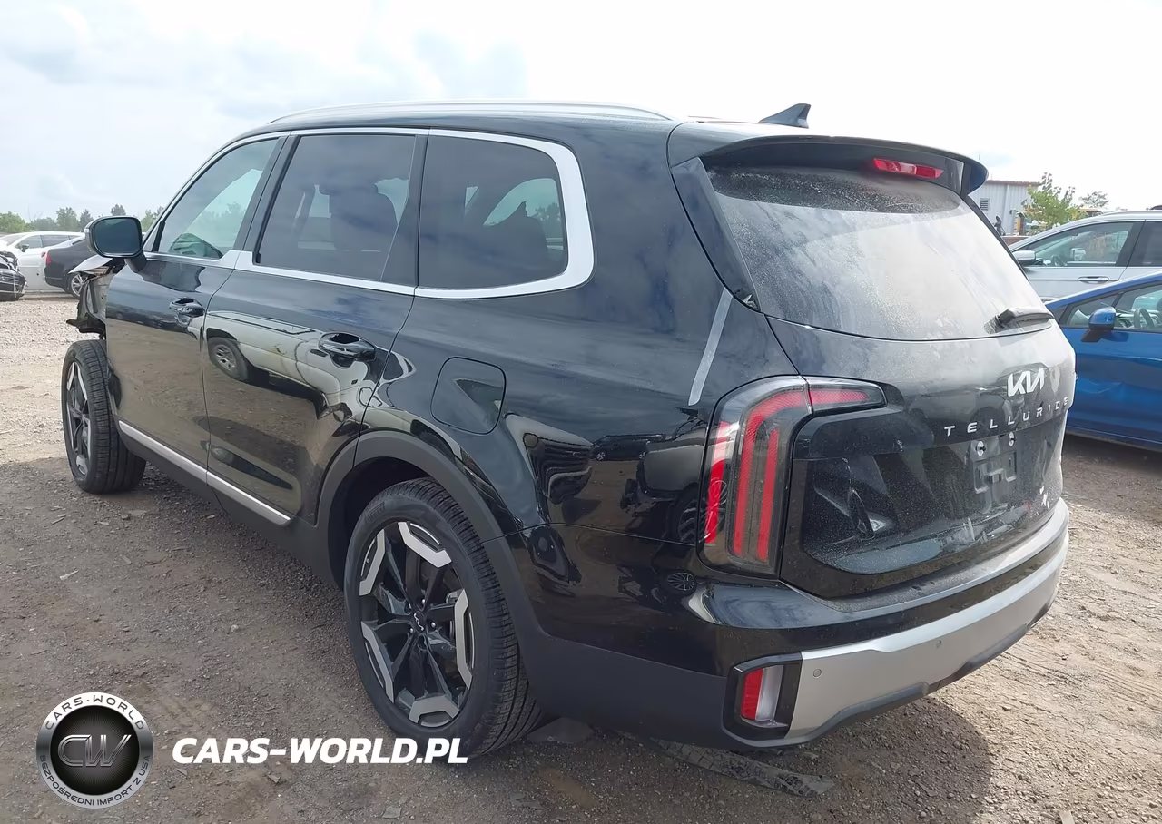 2024 Kia Telluride Ex VIN:5XYP3DGC8RG503683 - 3