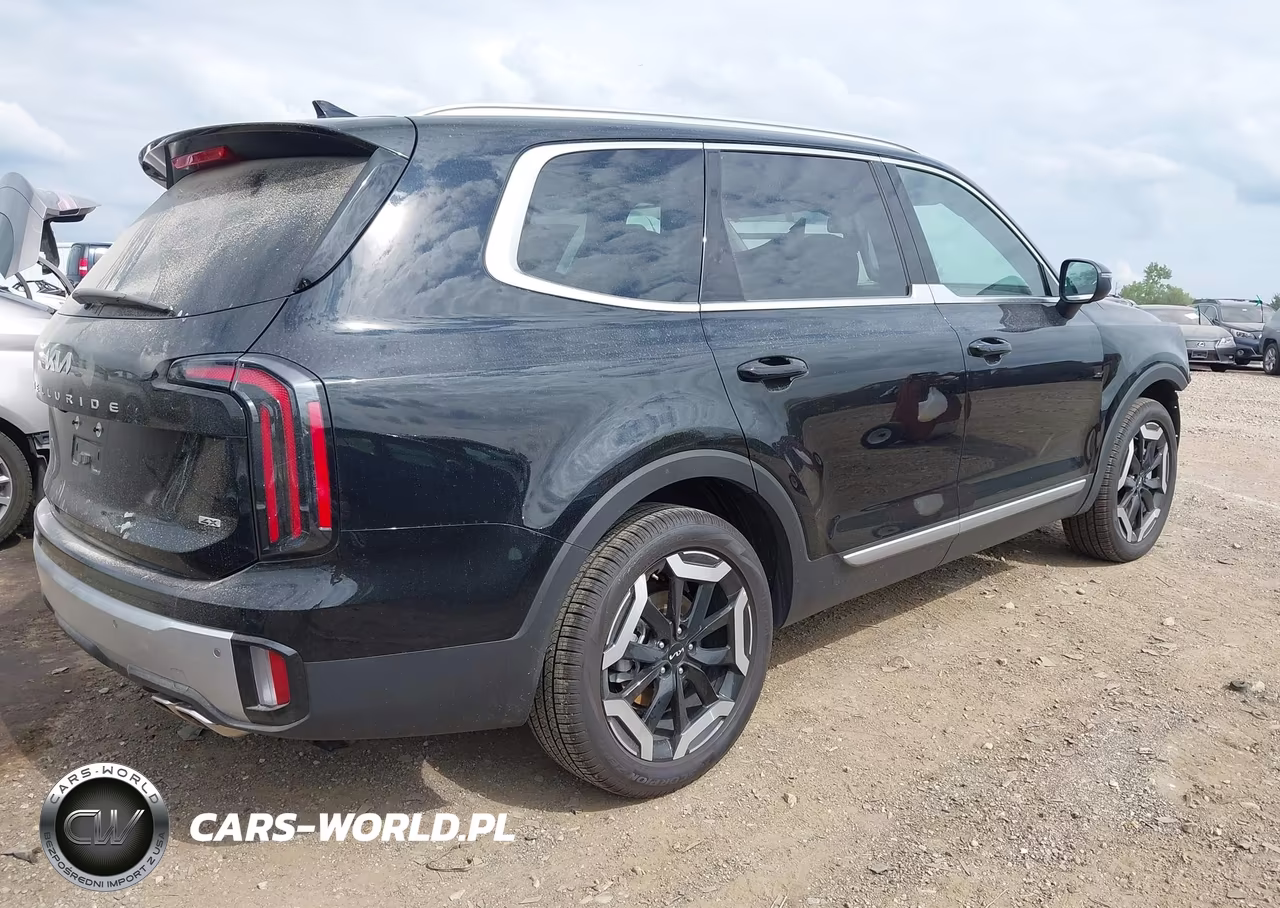 2024 Kia Telluride Ex VIN:5XYP3DGC8RG503683 - 4