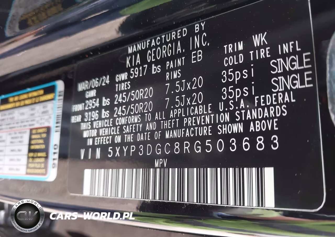 2024 Kia Telluride Ex VIN:5XYP3DGC8RG503683 - 9