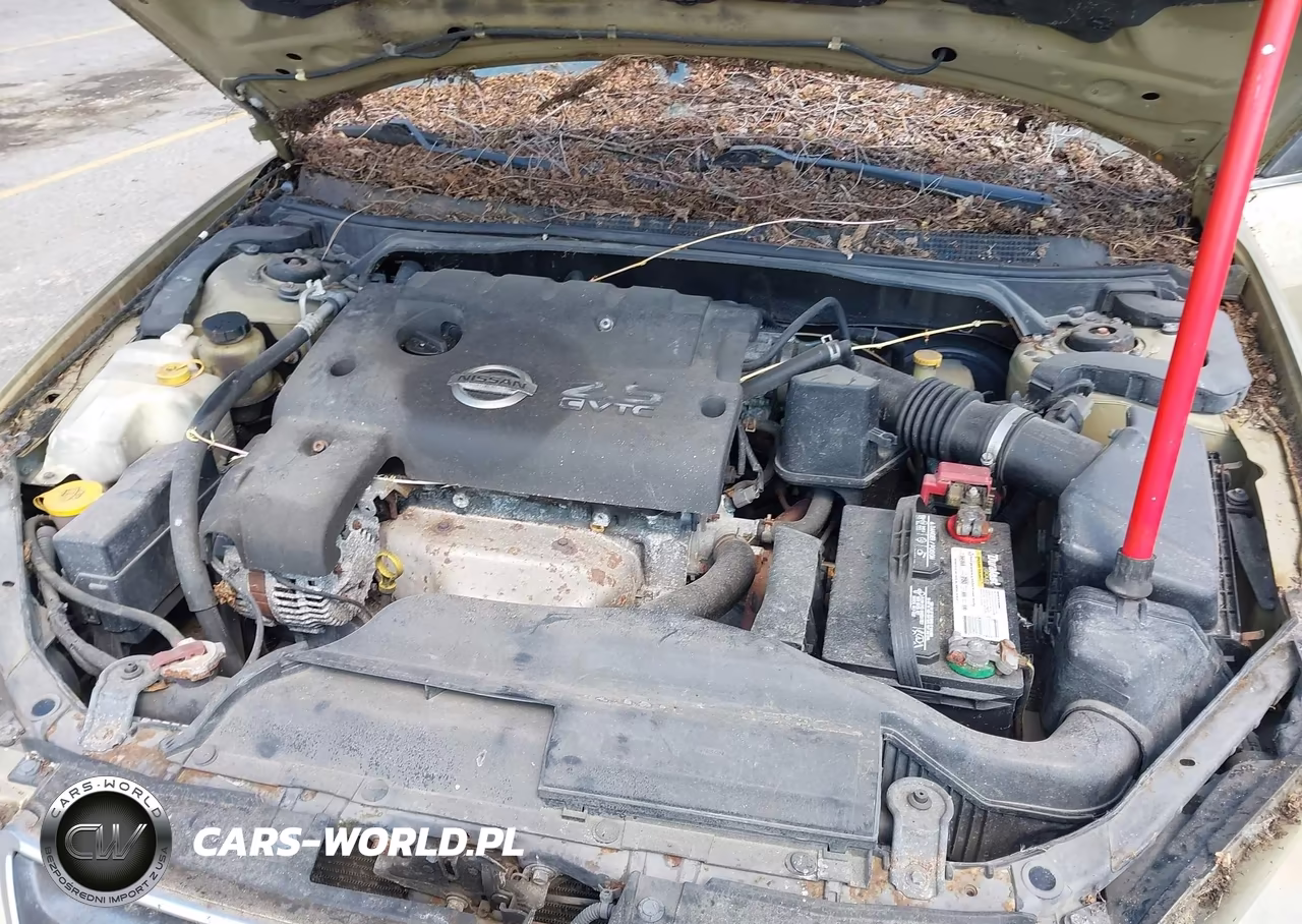 2002 Nissan Altima 2.5 S VIN:1N4AL11D52C207526 - 10
