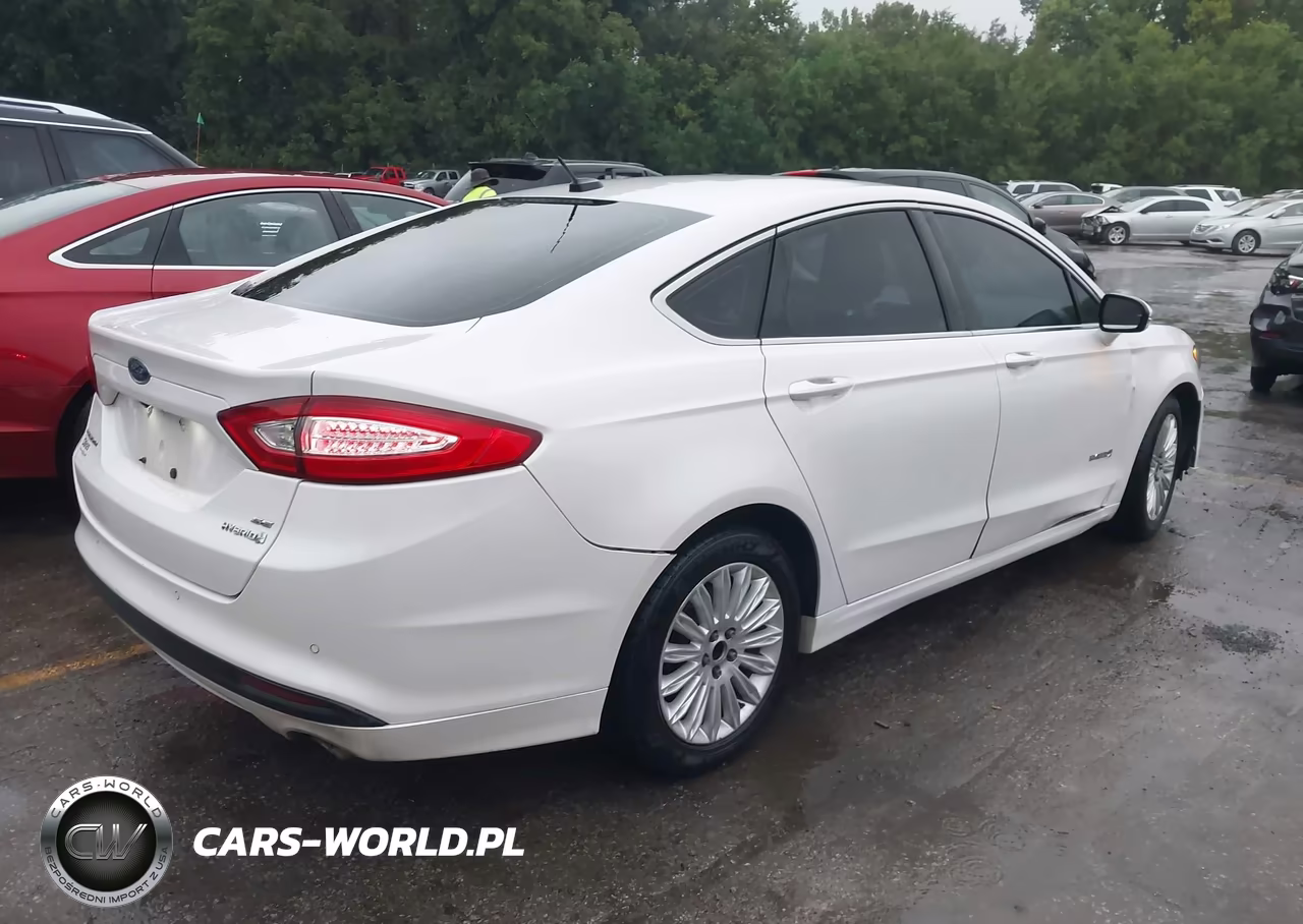 2014 Ford Fusion Hybrid Se VIN:3FA6P0LU8ER356701 - 4