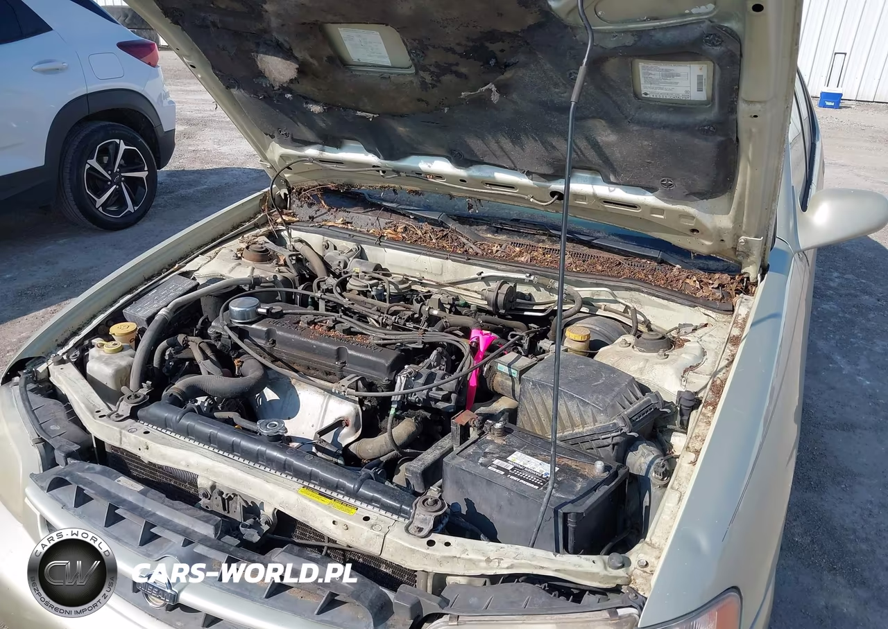 1999 Nissan Altima VIN:1N4DL01D5XC103617 - 10
