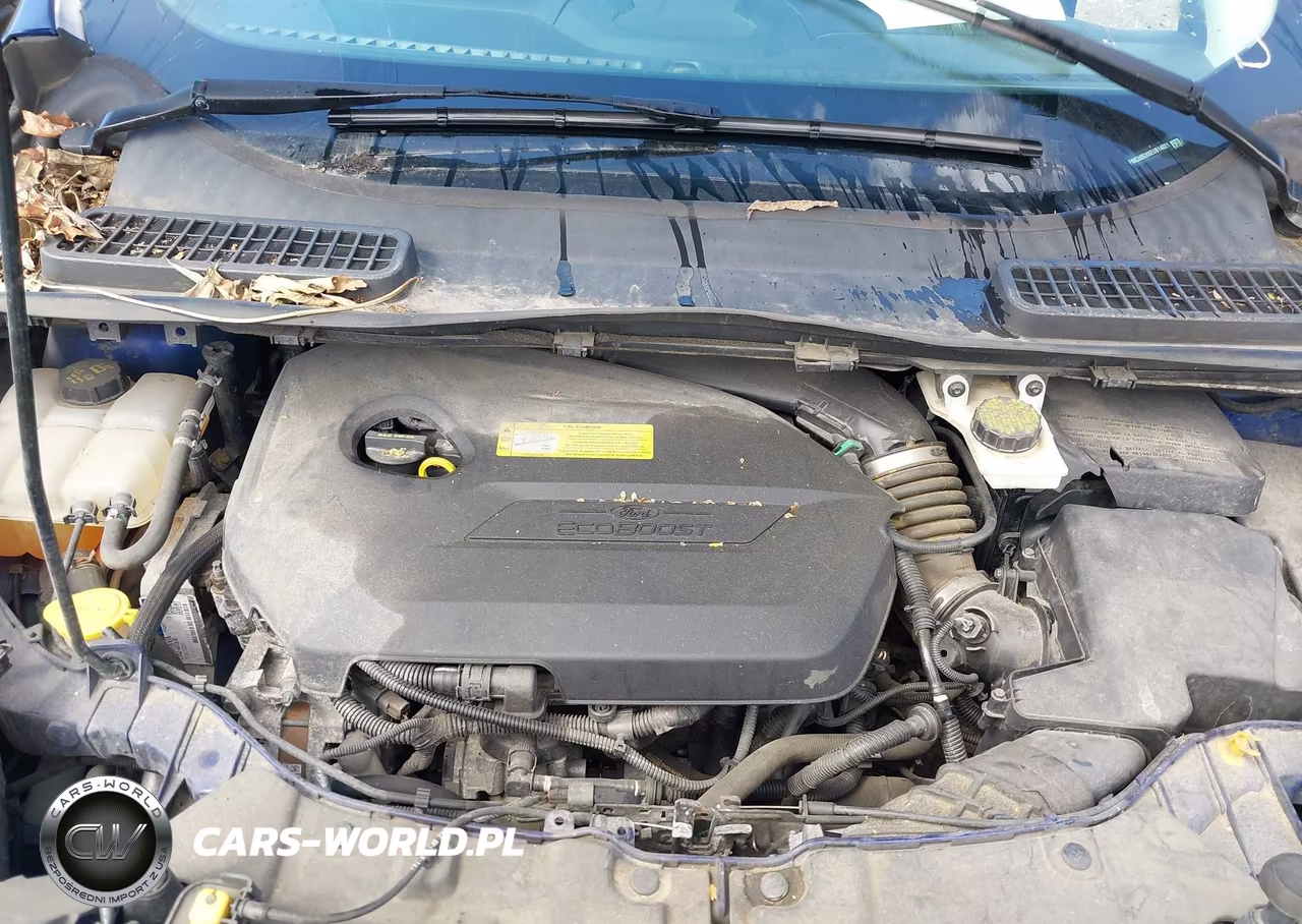 2014 Ford Escape Se VIN:1FMCU0GX6EUB14021 - 10