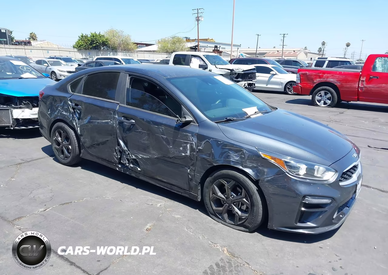 2019 Kia Forte Lxs