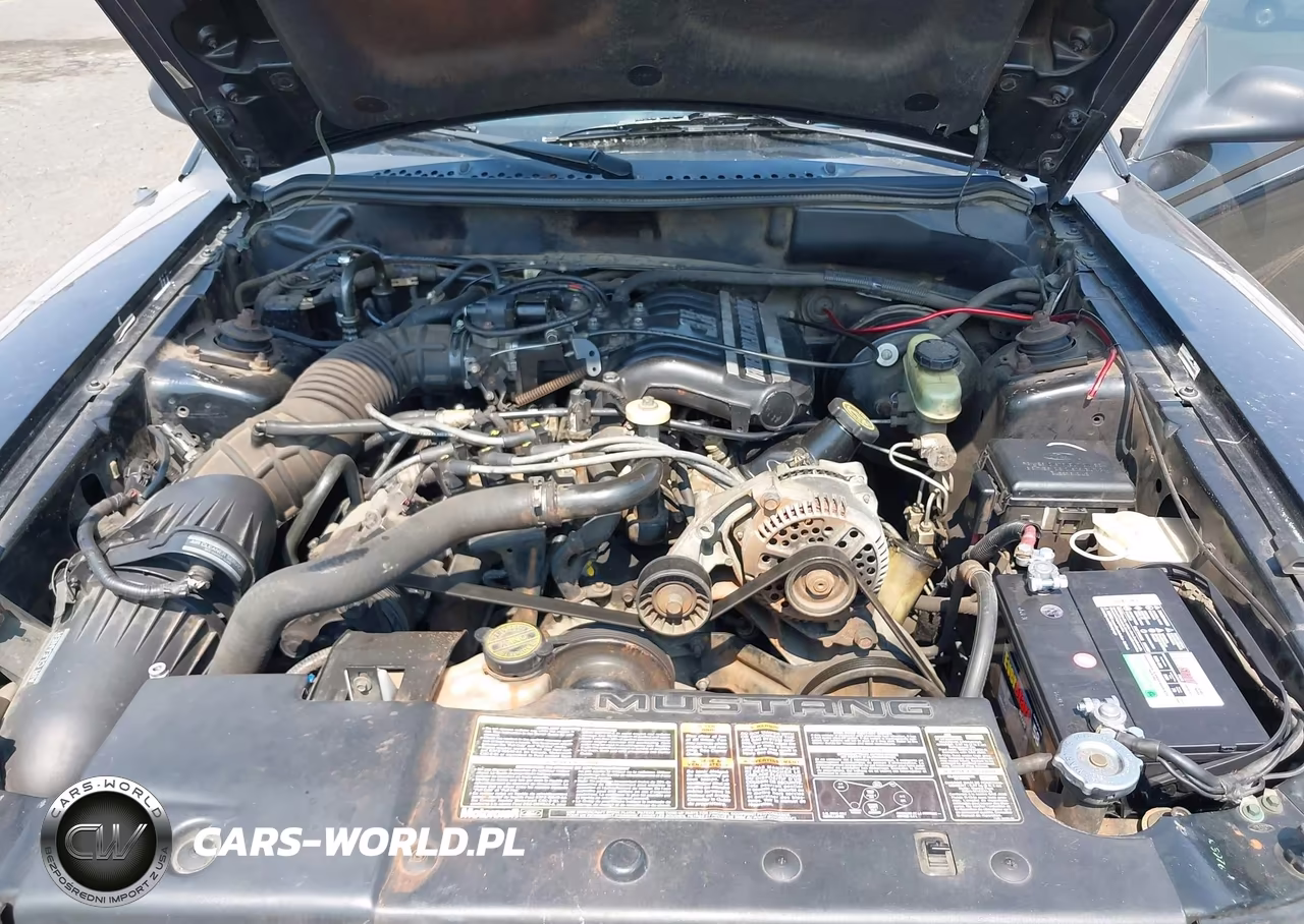 1994 Ford Mustang VIN:1FALP4040RF142920 - 10