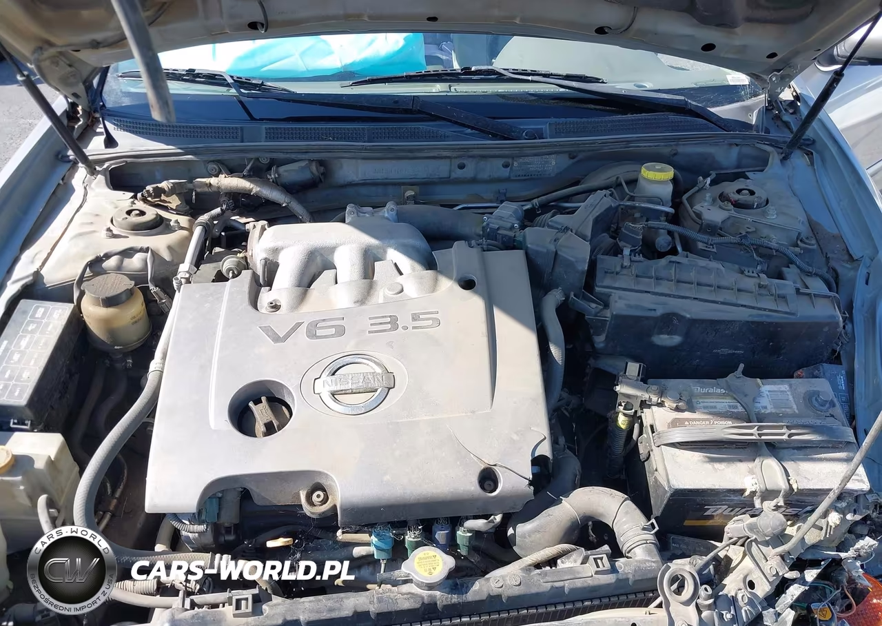 2002 Nissan Maxima Se VIN:JN1DA31D12T206160 - 10