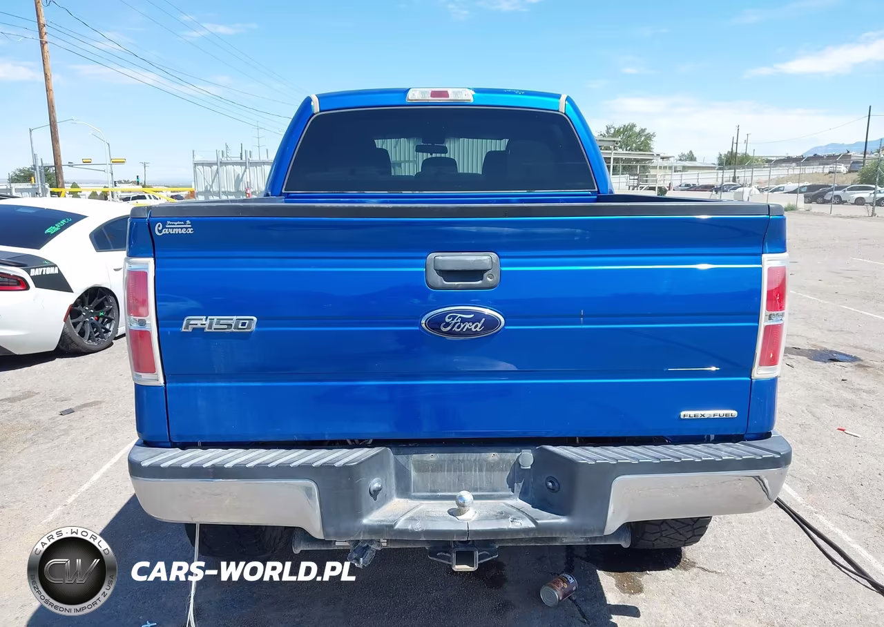 2014 Ford F150 Supercrew VIN:1FTFW1EFXEFC20097 - 16