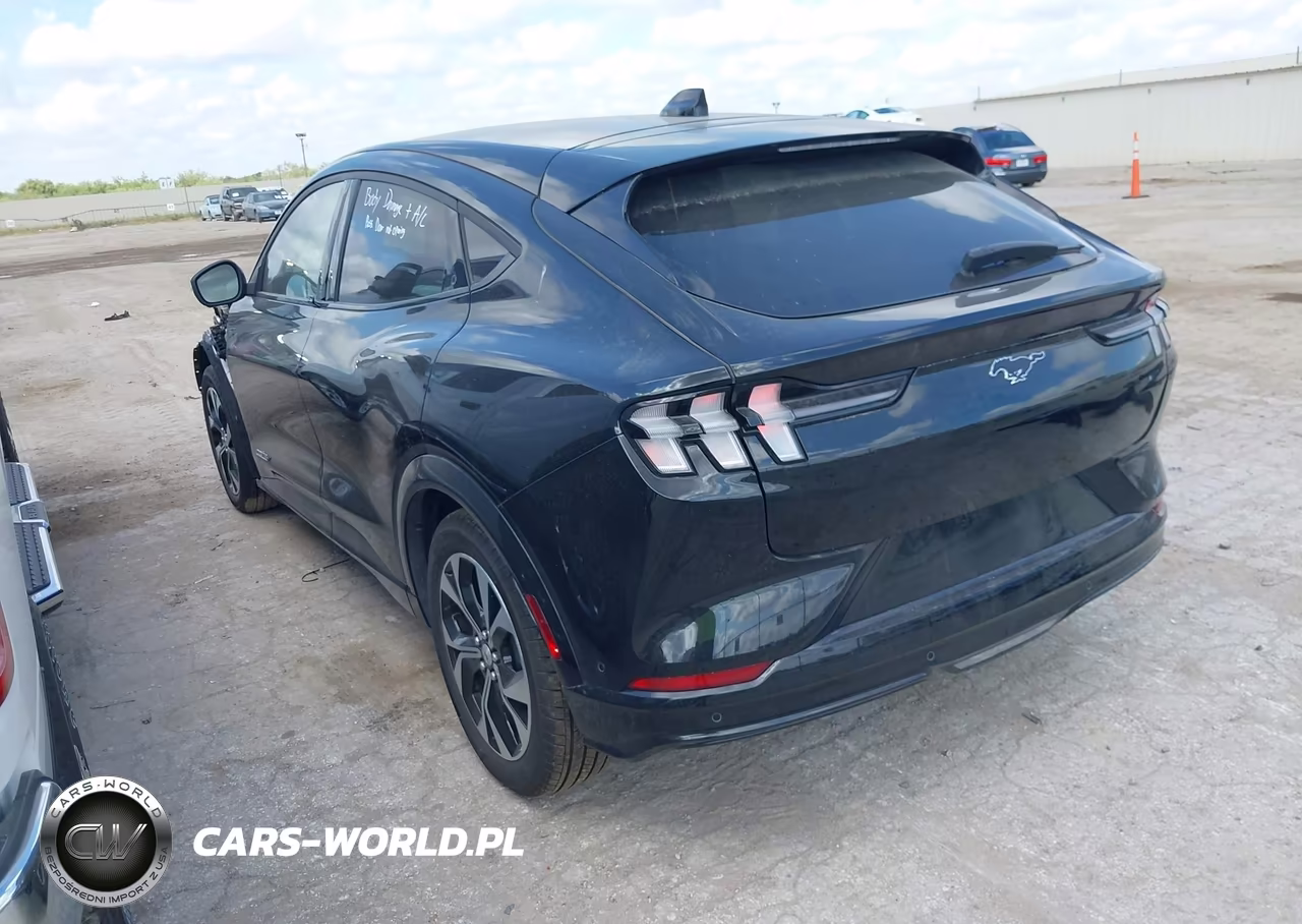 2023 Ford Mustang Mach-E Premium VIN:3FMTK3SU9PMA83407 - 3