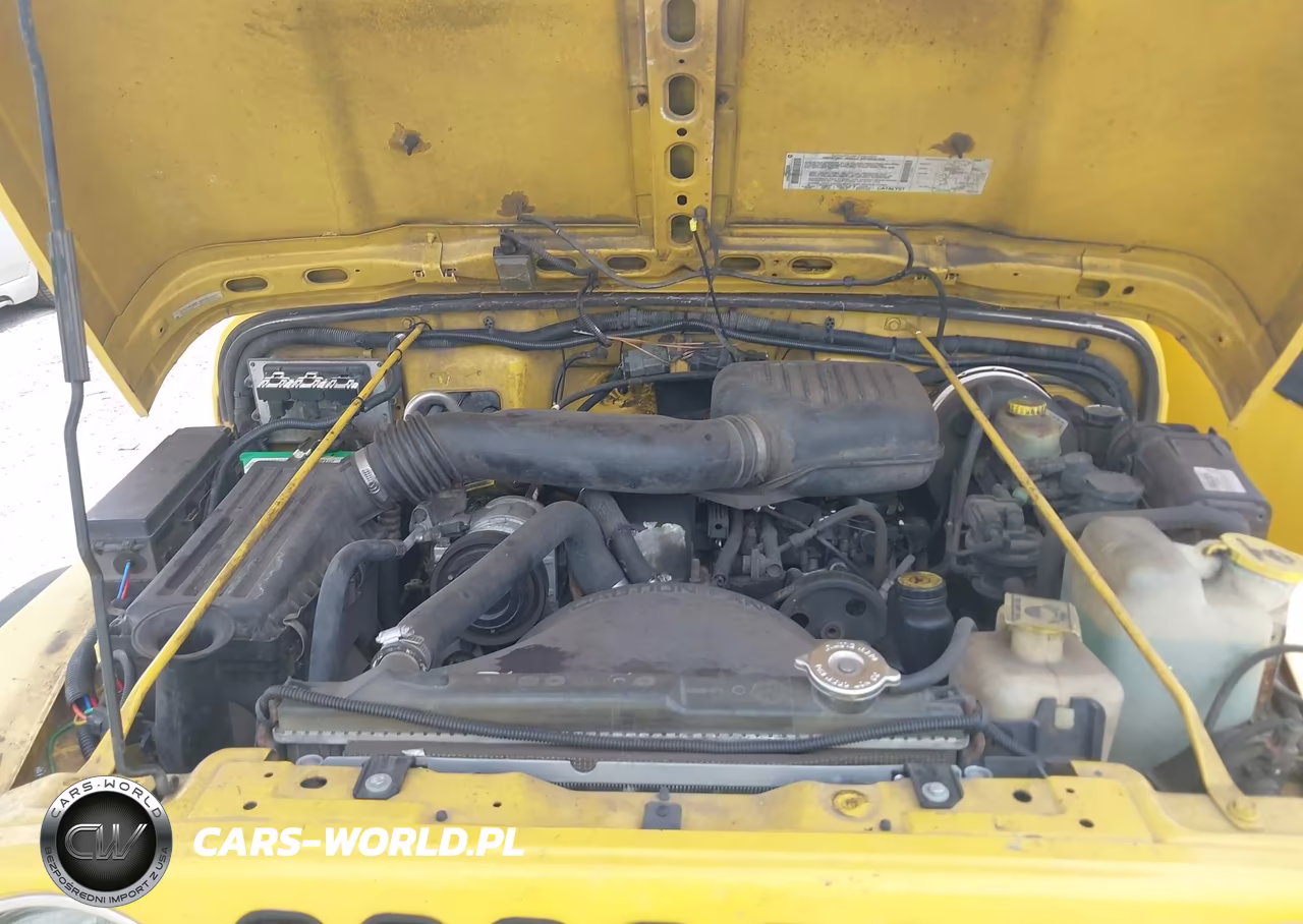 2002 Jeep Wrangler - Tj Se VIN:1J4FA29P82P721044 - 10
