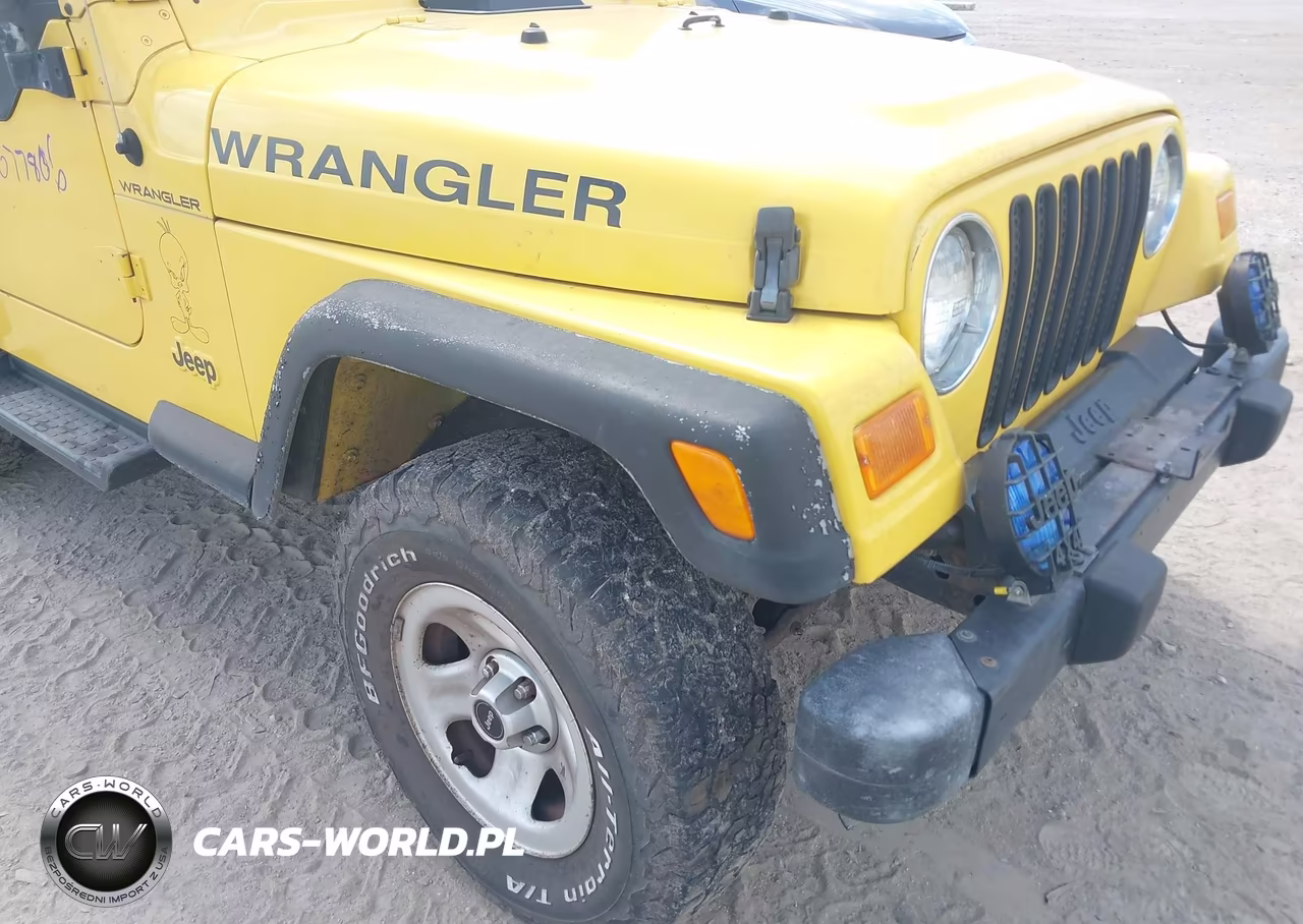 2002 Jeep Wrangler - Tj Se VIN:1J4FA29P82P721044 - 6