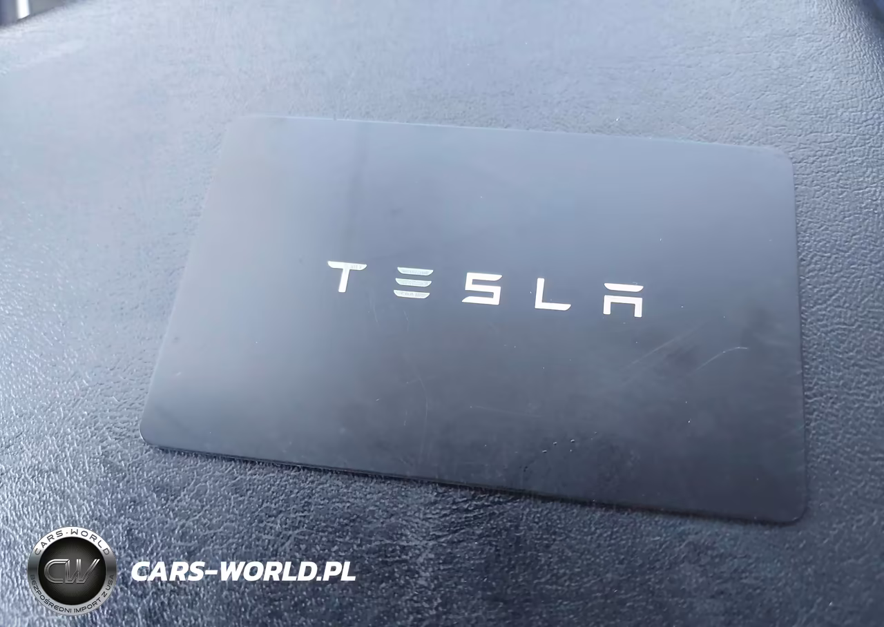 2019 TESLA MODEL 3 LONG RANGE-MID RANGE-STANDARD RANGE-STANDARD RANGE PLUS VIN:5YJ3E1EA6KF402308 - 11