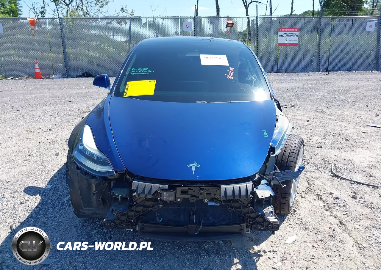 2019 TESLA MODEL 3 LONG RANGE-MID RANGE-STANDARD RANGE-STANDARD RANGE PLUS VIN:5YJ3E1EA6KF402308 - 12