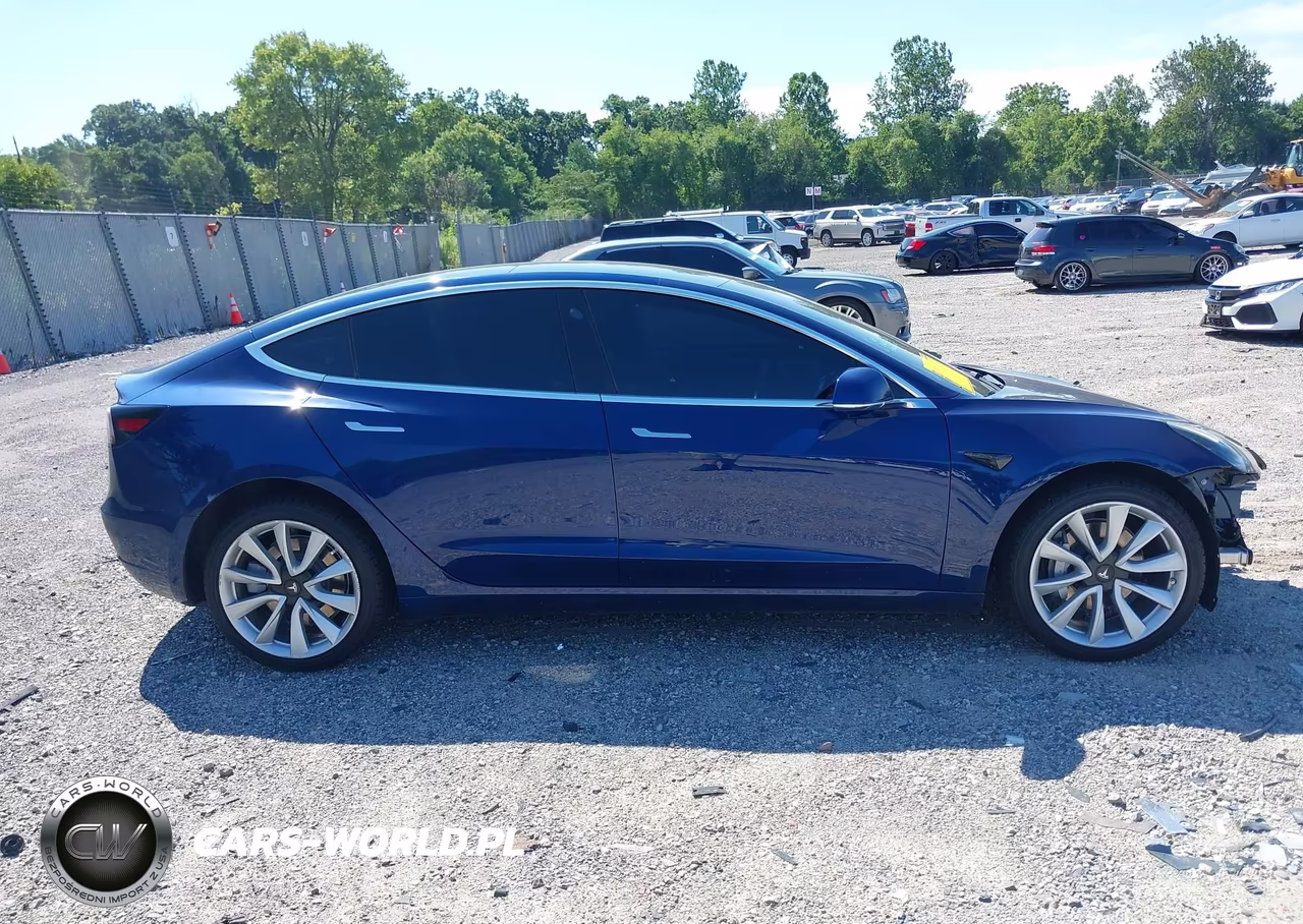 2019 TESLA MODEL 3 LONG RANGE-MID RANGE-STANDARD RANGE-STANDARD RANGE PLUS VIN:5YJ3E1EA6KF402308 - 13