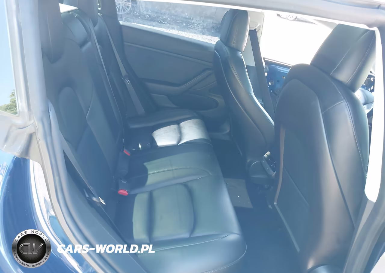 2019 TESLA MODEL 3 LONG RANGE-MID RANGE-STANDARD RANGE-STANDARD RANGE PLUS VIN:5YJ3E1EA6KF402308 - 8