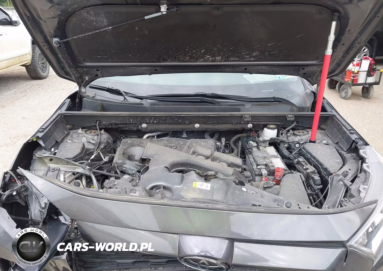 2020 Toyota Rav4 Xle VIN:2T3P1RFV3LW124685 - 10