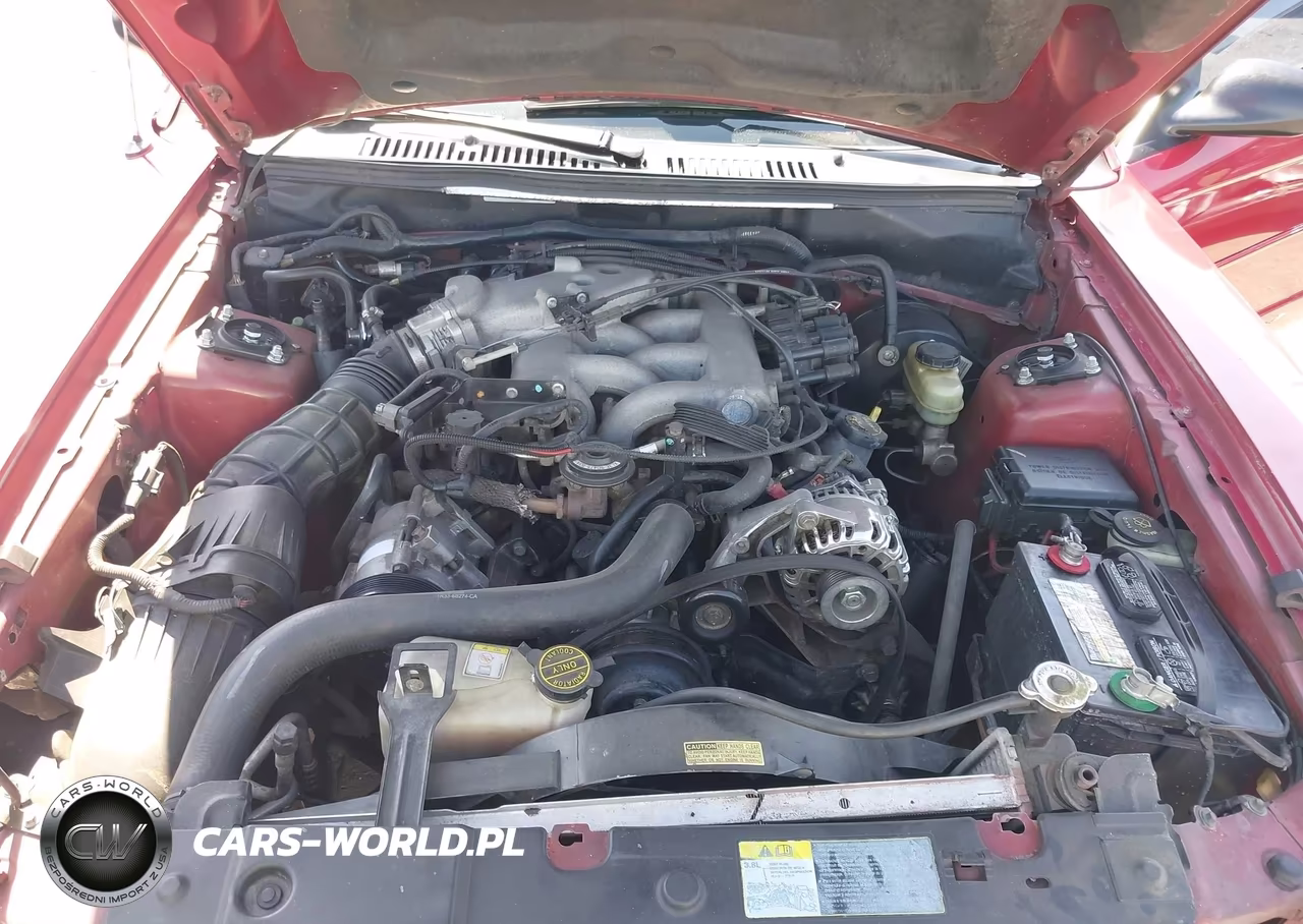 2003 Ford Mustang VIN:1FAFP40493F423683 - 10