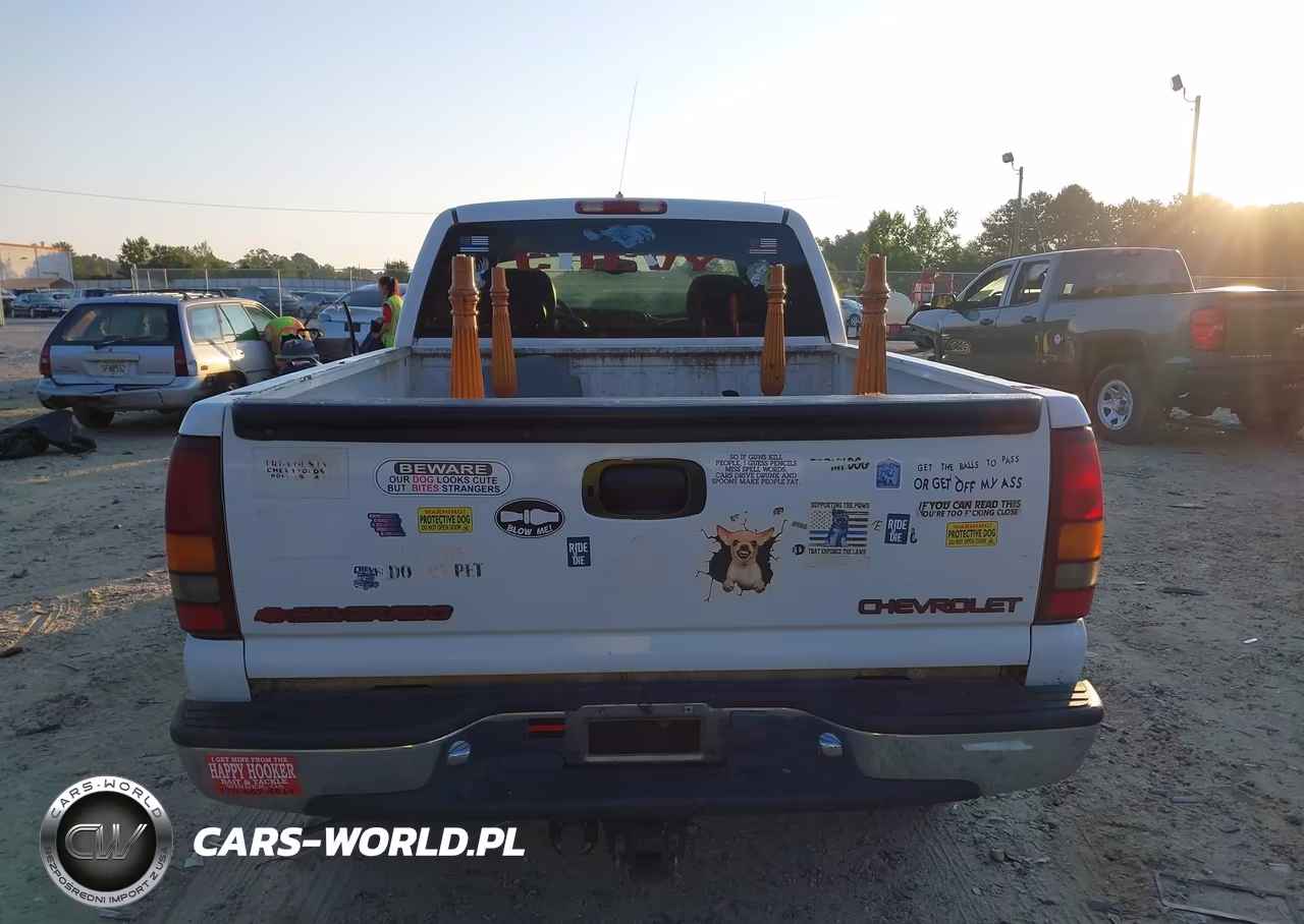 1999 Chevrolet Silverado 1500 Lt VIN:2GCEK19T0X1231384 - 16